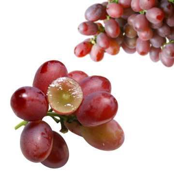 fresh red globe grapes Chinese red grapes Xinjang red globe grapes